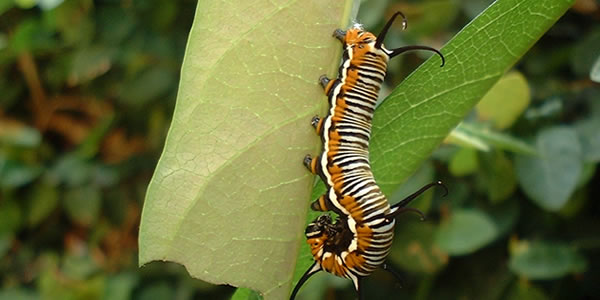 云呼叫中心系统